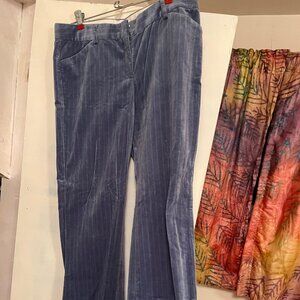 Express Design Studio Pinstripe Cotton Velvet Pants Size 10